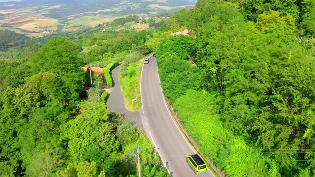 rone flight in cypress alley in tuscany italy