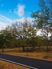 view of a picnic area in the mountains
