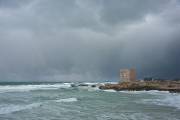mare
