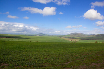 Fototapeta na wymiar The green landscape, meadow, farmlands, and vineyards from a distance.