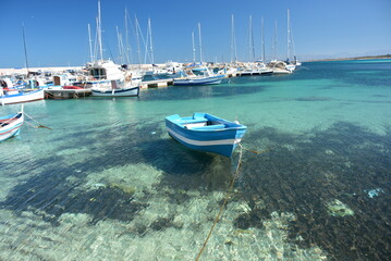 mare