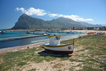 mare