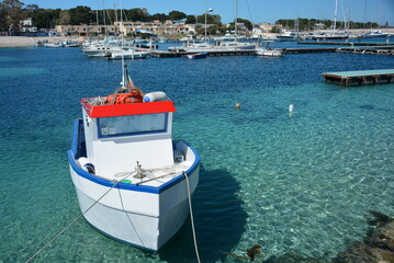 mare