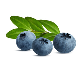 Obraz premium Blueberries with leaves isolated on white background with clipping path