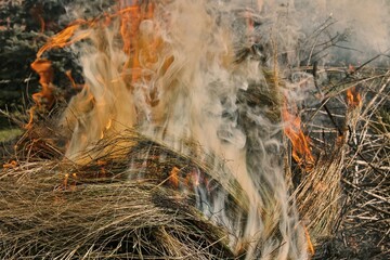 Spring cleaning in the garden, steaming smoke from the fireplace