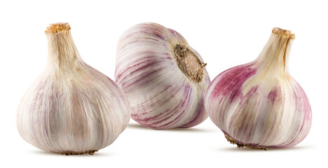 Garlics isolated on white background