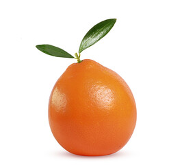 ripe juicy tangerine with green leaflets on a white background