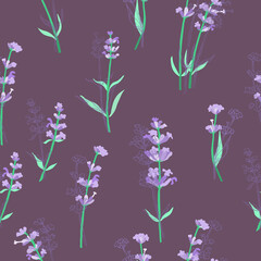Fototapeta na wymiar Seamless Pattern with Different Parts of Lavender