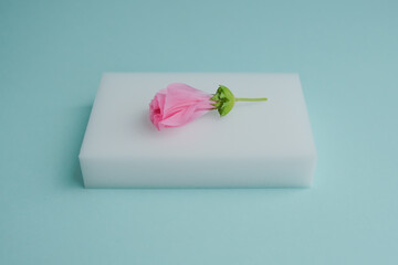 melamine sponges for washing and cleaning and pink flower