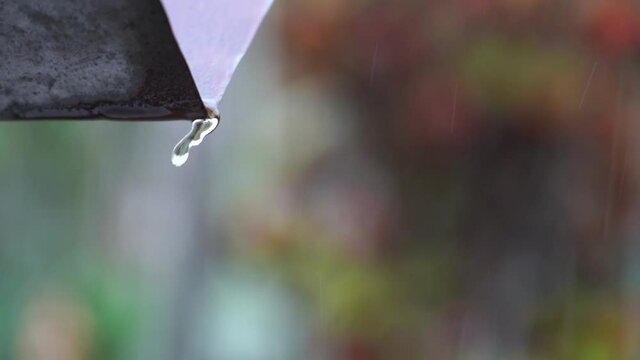 kerala mansoon rain water 