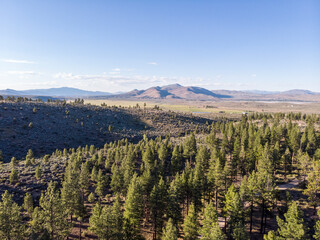 Drone flying trees and mountains Nevada backcountry