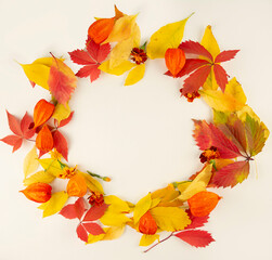 Autumn frame from multi-colored leaves on a light table. Autumn postcard. Copy space.