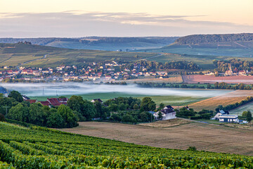 Champagne region in France. A beautiful view.	