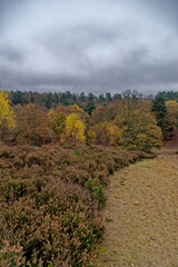 Ashdown Forest - Sussex, United Kingdom