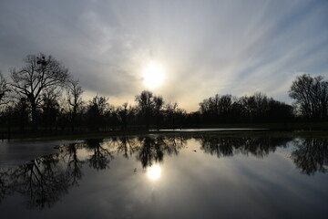 Bäume spiegeln sich im Hochwassergebiet