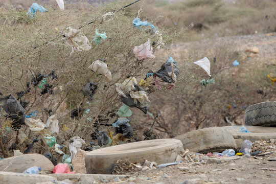 Ethiopian desert landscape with lots of plastic bottles and bags trapped in bush branches and tossed on the ground