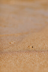 Plage de sable au crépuscule