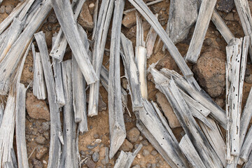 pieces of wood thrown on stony ground