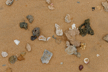 stones washed from the sea sand form beautiful patterns