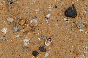 stones washed from the sea sand form beautiful patterns