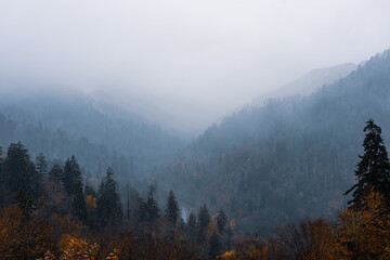 Great Smoky Mountains fog
