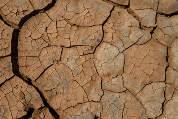 cracked and dried up the earth's surface