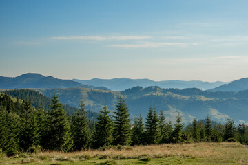 Fototapeta na wymiar Morning sunny day is in mountain landscape. Carpathian, Ukraine, Europe. Beauty world. Large resolution