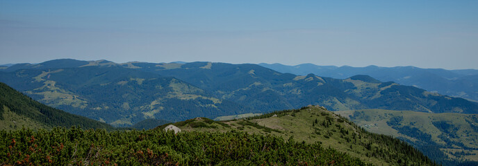 Fototapeta premium Panorama of Carpathian mountains in summer sunny day. Beauty world. Large resolution