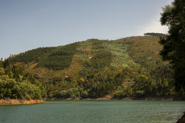 Fototapeta premium landscape