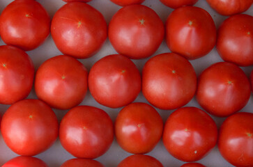 vegetables red ripe tomatoes on the background