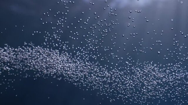air bubbles underwater in blue water moving strange some in focus some out of focus making nive background shapes with sun rays and sun shine