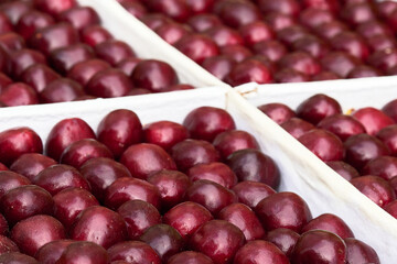 cherry ripe sweet viburnum cherry background