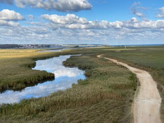 landscape with river