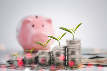 Pink piggy bank with leaf on Coins stack and Visa card model on white background, Money spending...