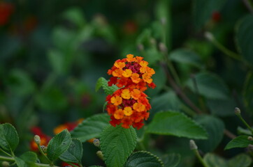 My first photograph with the beloved D7000