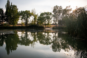 Fototapeta na wymiar Reflejo de los árboles en el agua Del Río 