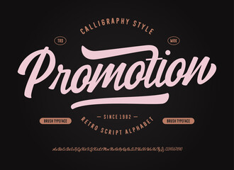Obraz premium CALLIGRAPHY SCRIPT FONT- PROMOTION. VECTOR TYPEFACE