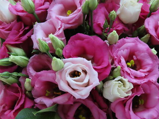 Wedding bouquet of lisianthus
