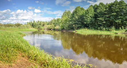 Fototapeta na wymiar river in the forest/landscape of the river in the forest in summer. sunny day.