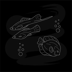 Vector illustration of line silhouettes of fish with bubbles. Icon for a pet shop catalogue or guide, banner, price list, ads, web site or clothes design and print. White drawing on black background
