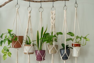 Six handmade cotton macrame plant hangers are hanging from a wood branch. The macrame have pots and...