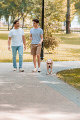Fototapeta premium teenager son and father looking at each other and walking with golden retriever on asphalt