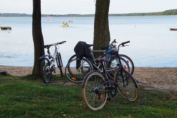 Fototapeta premium bicycles leaning against trees on the lake shore