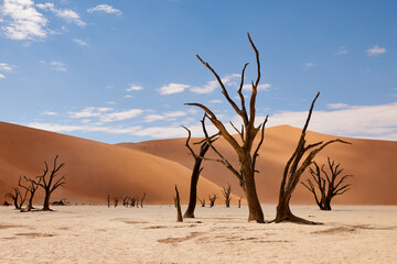 Namibian desert landscape