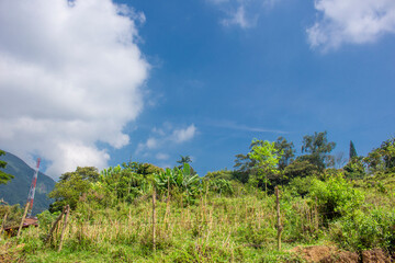 Fototapeta premium Colombian landscapes. Green mountains in Colombia, Latin America