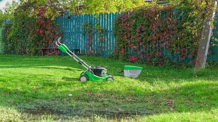  Garden lawn mower cutting grass on background of dark blue wooden fence lush covered ivy. 