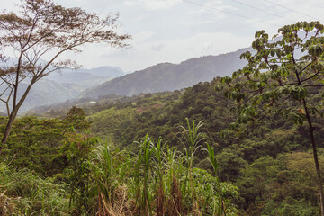 Obraz premium Colombian landscapes. Green mountains in Colombia, Latin America