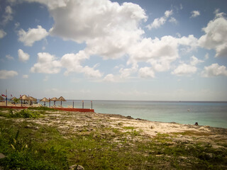 Grass beach in Cozumel, Mexico