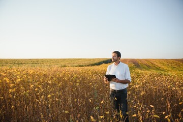 Naklejka na ściany i meble Agronomist inspects soybean crop in agricultural field - Agro concept - farmer in soybean plantation on farm.