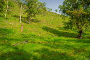 Colombian landscapes. Green mountains in Colombia, Latin America
